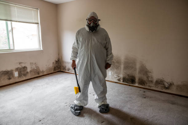 Best Mold Documentation for Insurance Claims  in West Blocton, AL
