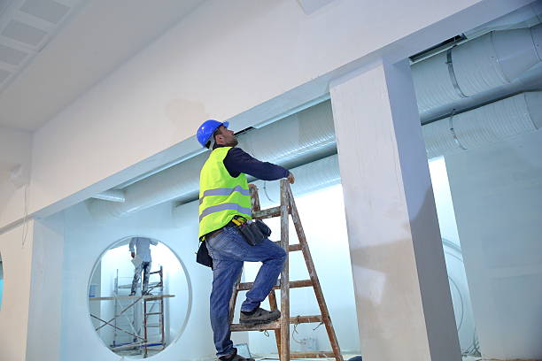 Best Mold Damage Restoration  in West Blocton, AL