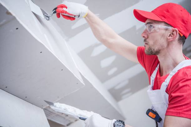 Best Black Mold Removal  in West Blocton, AL