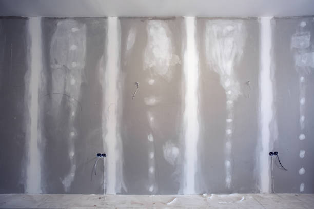 Professional Mold Removal in West Blocton, AL